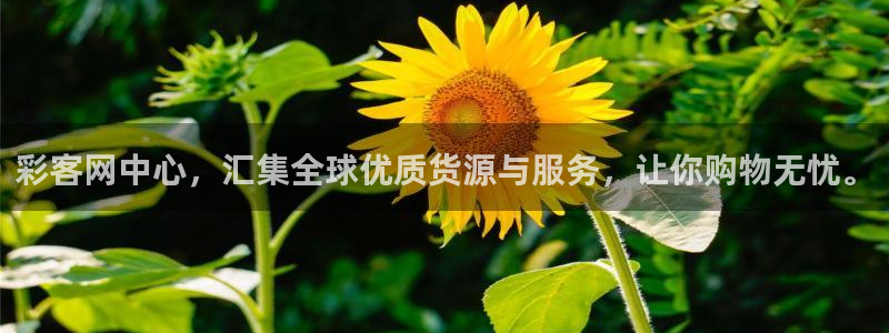 超凡国际体育凯捷登陆：彩客网中心，汇集全球优质货源与服务，让你购物无忧。