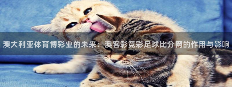 超凡国际logo：澳大利亚体育博彩业的未来：澳客彩竞彩足球比分网的作用与影响