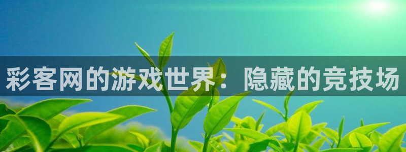 超凡国际4登录：彩客网的游戏世界：隐藏的竞技场