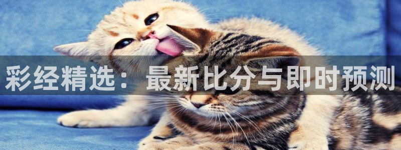 超凡国际主管：彩经精选：最新比分与即时预测