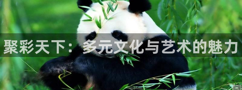 超凡国际3官网：聚彩天下：多元文化与艺术的魅力